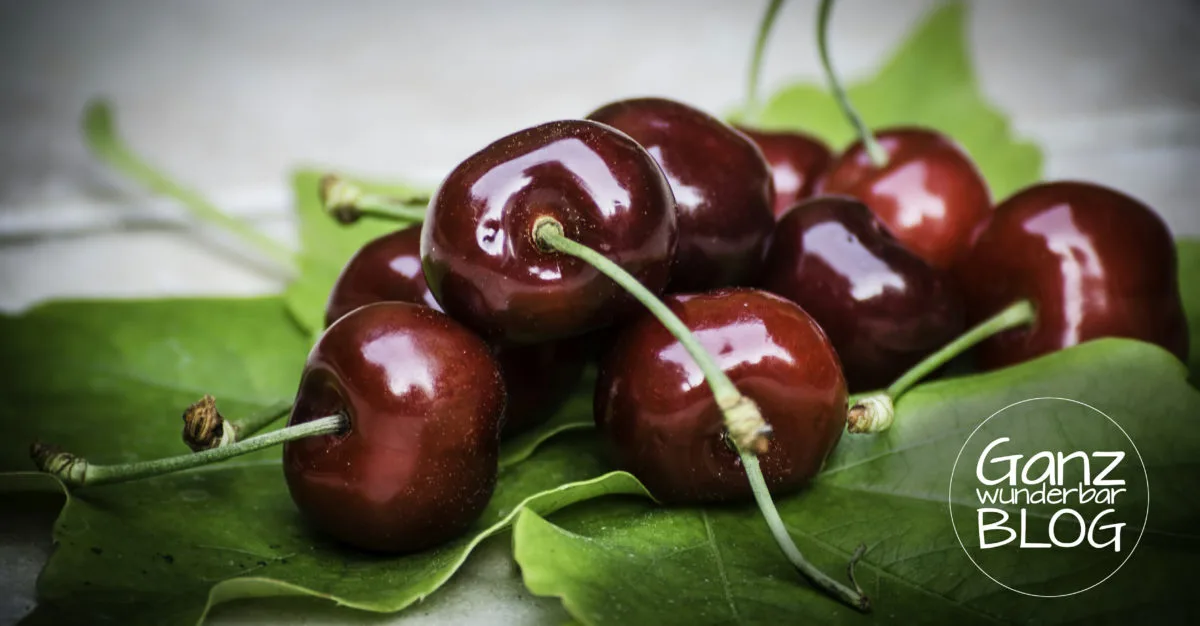 Obst selber pflücken