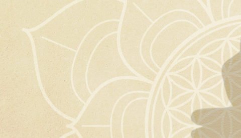 Ausbildung zur Yogalehrerin