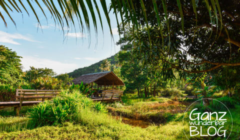 Yogaurlaub auf Hawaii