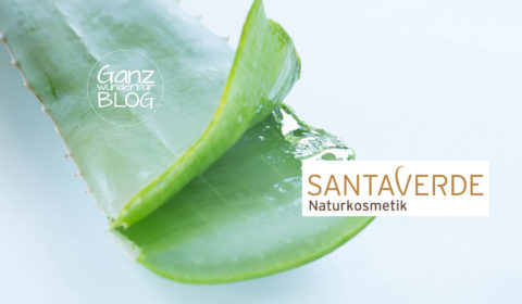 Aloe Vera Blatt mit dem Santaverde Logo