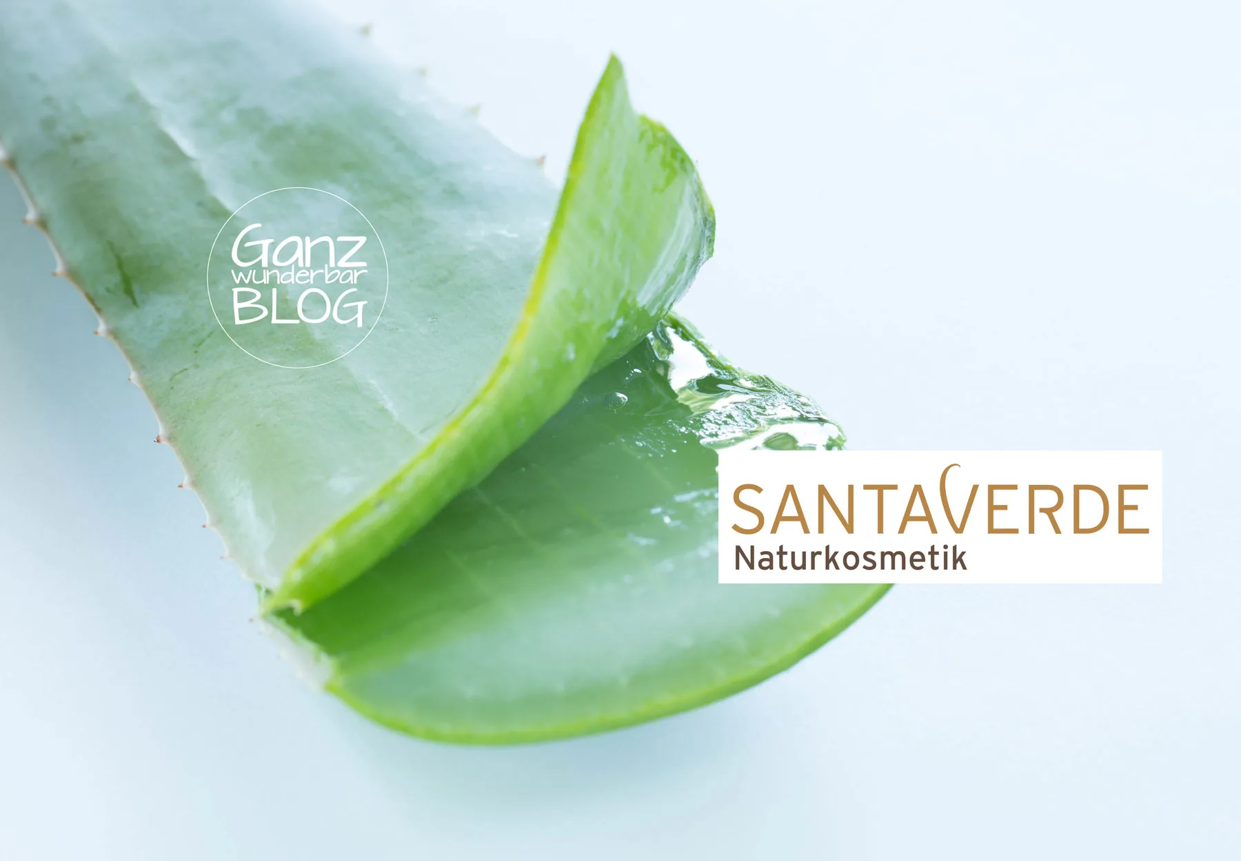 Aloe Vera Blatt mit dem Santaverde Logo