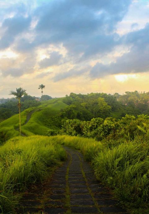 Die Traditionen des Yogas auf Bali