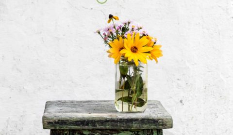 Yoga und Feng Shui