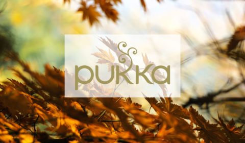 Pukka Tee