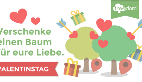Baum verschenken