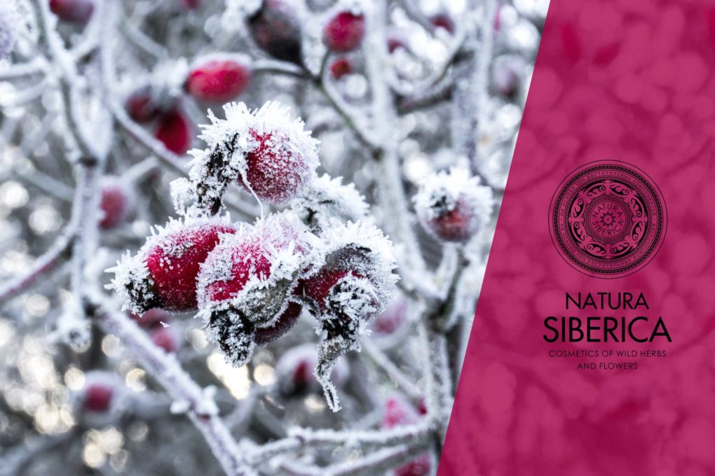 NATURA SIBERICA · Naturkosmetik aus Sibirien - [Jetzt ausprobieren!]