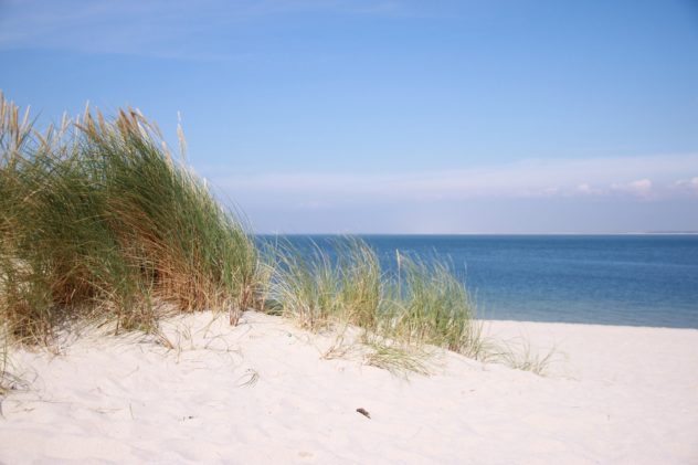 Surfen & Yoga auf Sylt