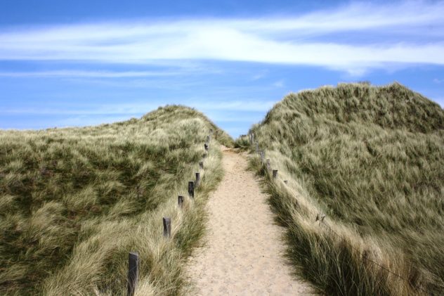 Yoga und Surfen auf Sylt