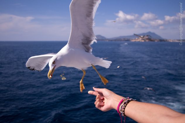 yoga und Ischia