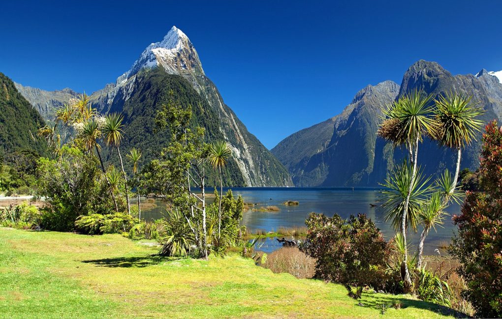 Yoga Urlaub in Neuseeland