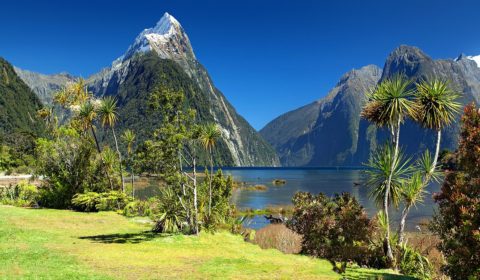 Yoga Urlaub in Neuseeland