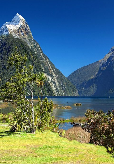 Yoga Urlaube in Neuseeland
