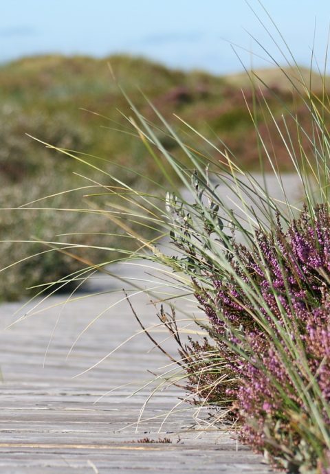 Yogaurlaub an der Nordsee