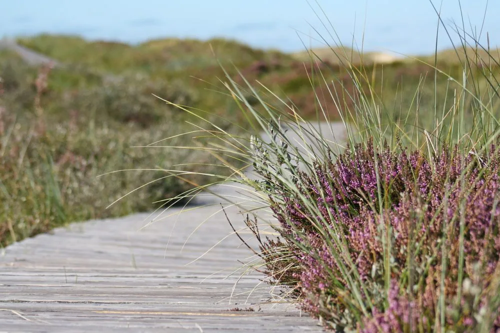 Yogaurlaub an der Nordsee
