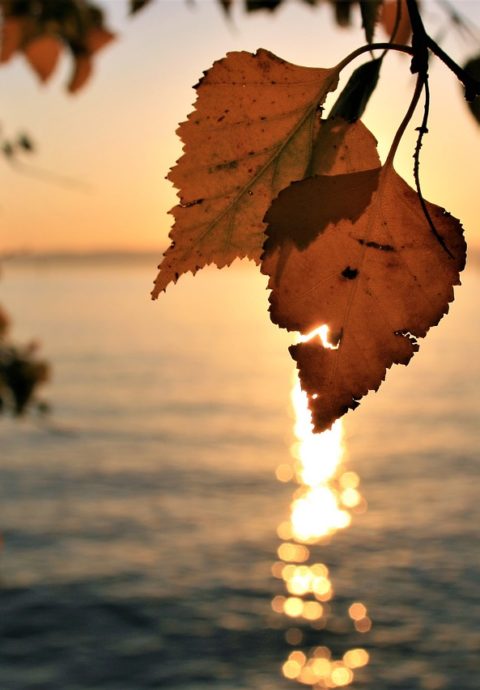 Yogaurlaub im Herbst