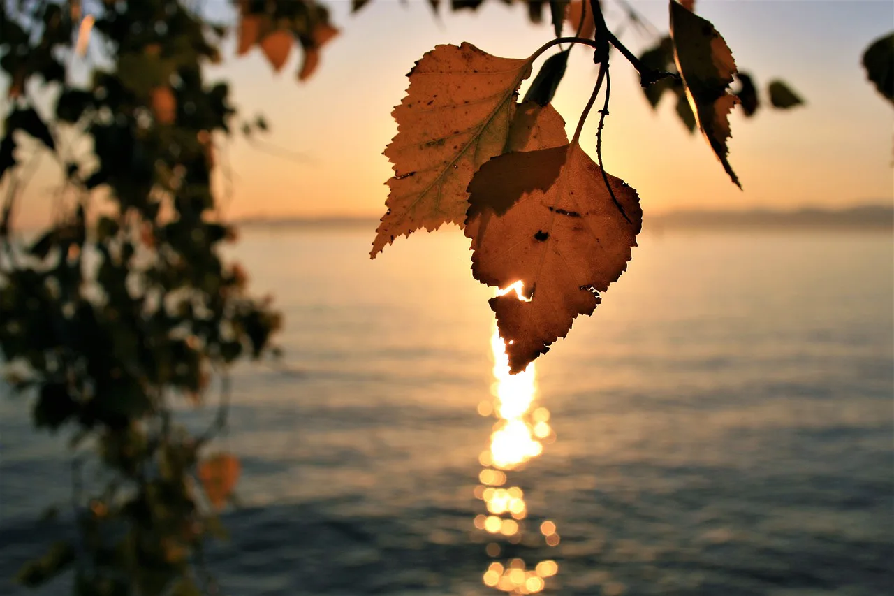 Yogaurlaub im Herbst am Bodensee