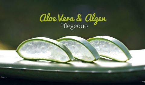 Naturkosmetik Aloe Vera und Algen