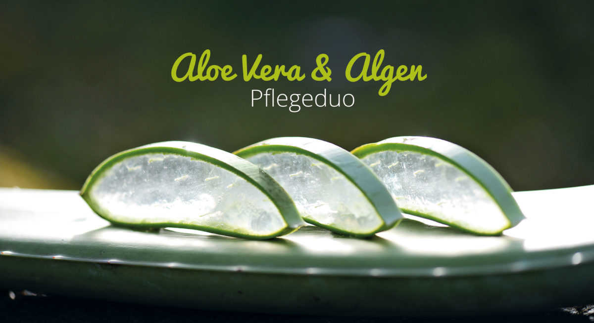 Naturkosmetik Aloe Vera und Algen