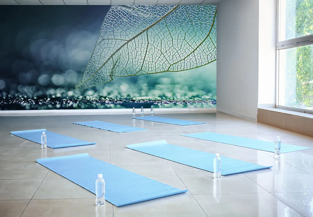 Yogastudio mit der Fototapete Blatt