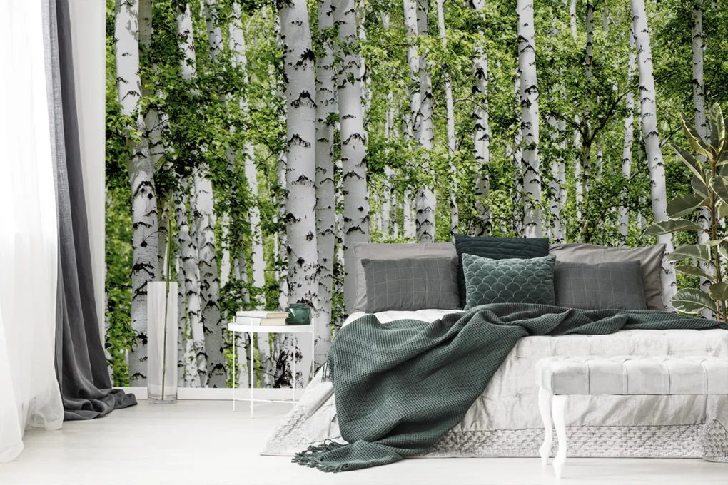 Fototapete Birkenwald im Schlafzimmer