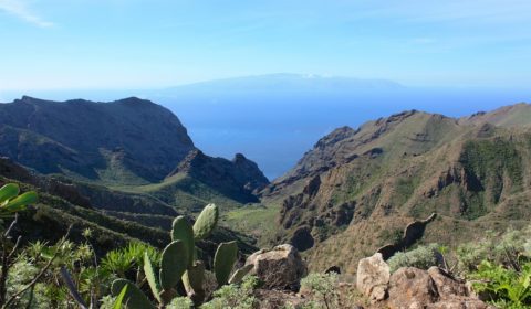 Yogaurlaub auf Teneriffa
