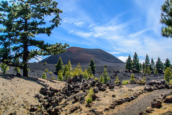 yogaurlaub auf Teneriffa