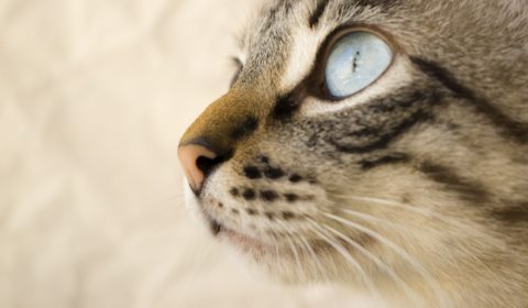 Das Leben schreibt seine eigenen Geschichten