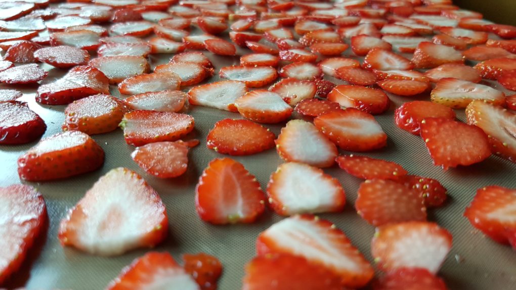 Erdbeer-Chips mit dem Dörrautomat selber machen