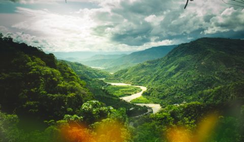 Ayahuasca-Retreat im Dschungel