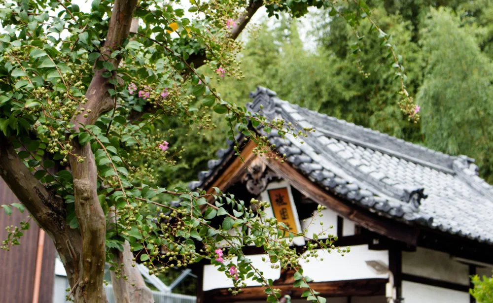 Zen Garten