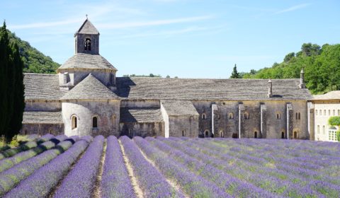 Yoga Retreat in Südfrankreich in der Provence
