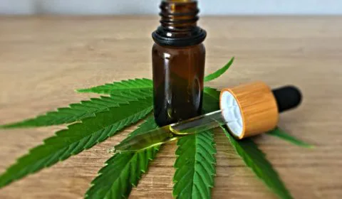 cbd öl angst Studie