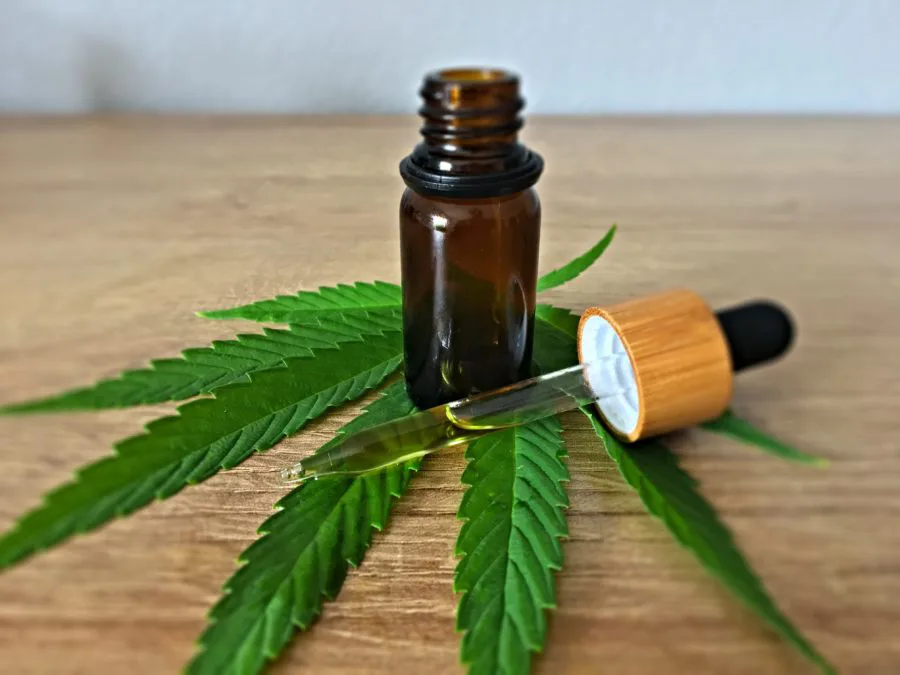 cbd öl angst Studie