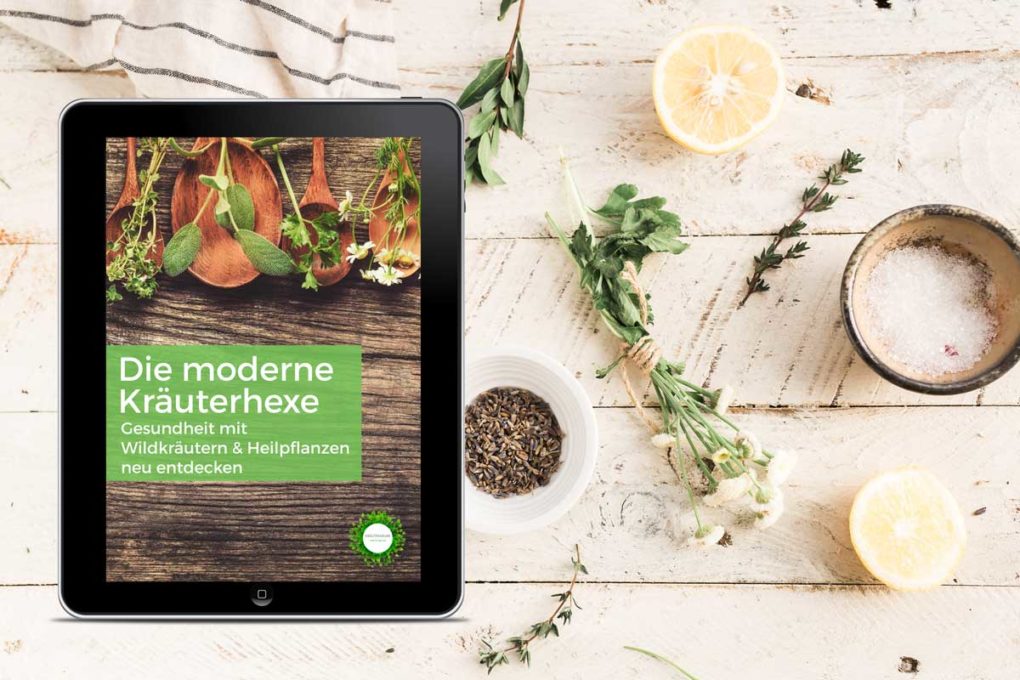 Die moderne Kräuterhexe, Gesundheit mit wildkräutern und Heilpflanzen