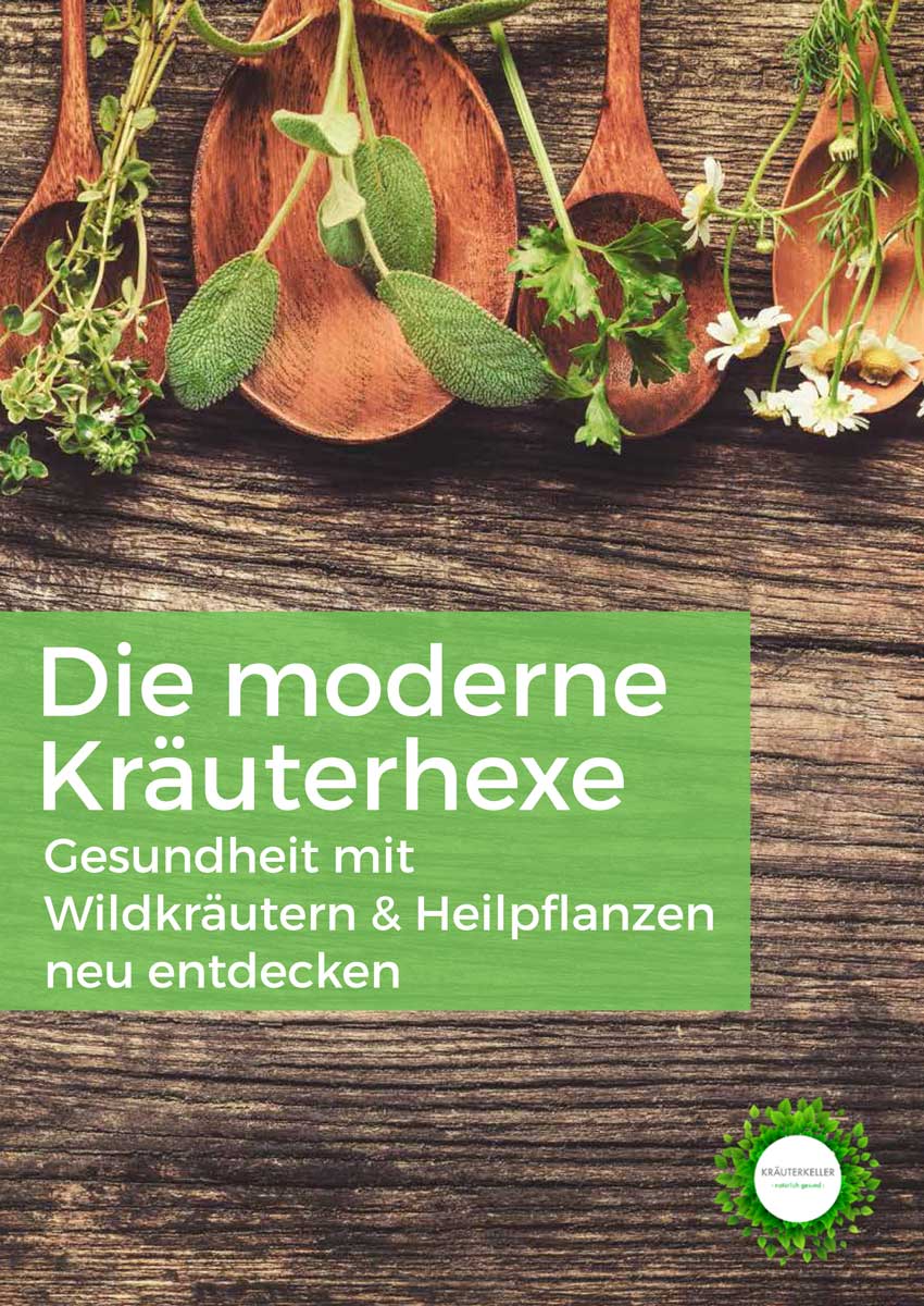 Die moderne Kräuterhexe, Gesundheit mit wildkräutern und Heilpflanzen