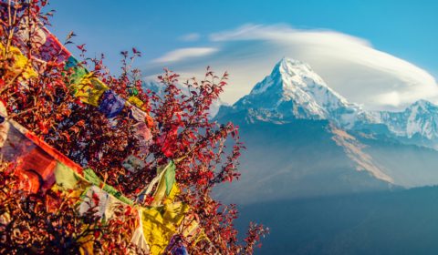 Yoga Urlaub und Buddhismus in Indien