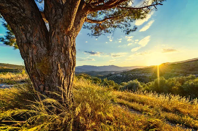 Yogaurlaub in Andalusien
