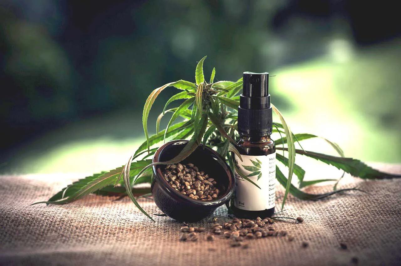 CBD Öl gegen Schmerzen