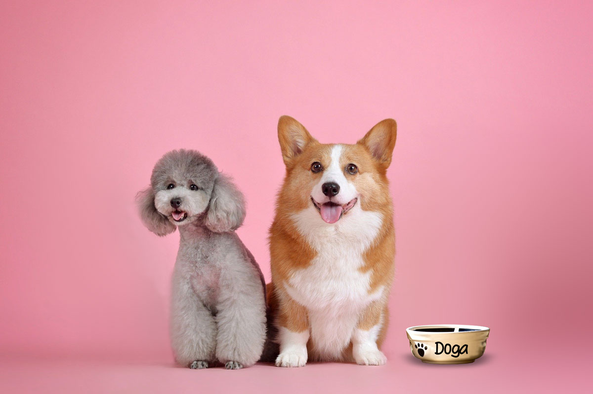 Doga Yoga -Yoga mit Hund