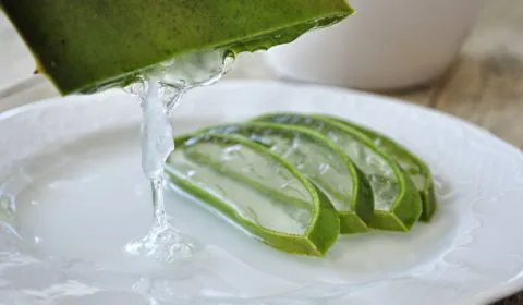 Aloe Vera Gel Bio