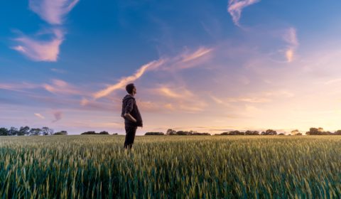 Coronavirus und die Zukunft