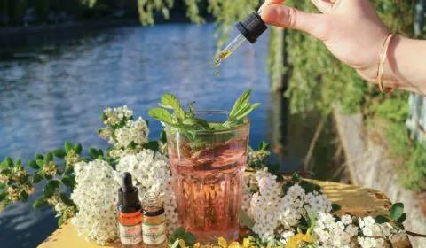 BIO CBD Öl Sommerhanf