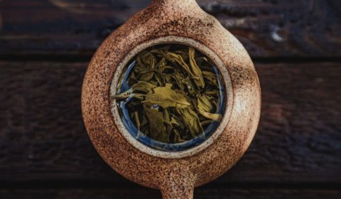 Grüner Tee