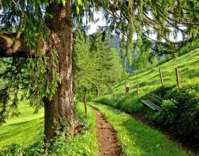 Yoga Urlaub im Schwarzwald