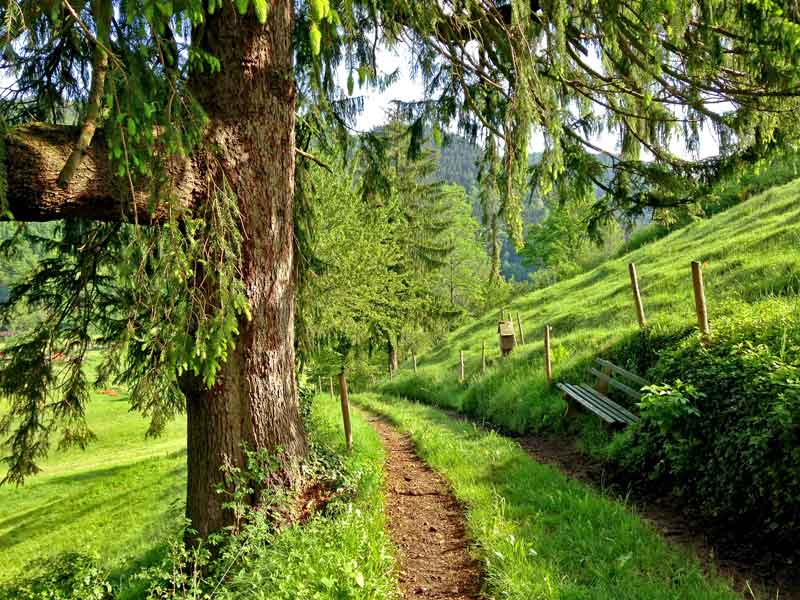 Yoga Urlaub im Schwarzwald