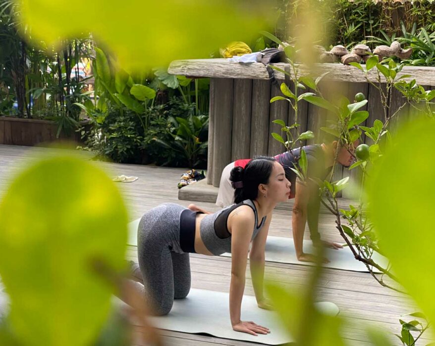 Yoga