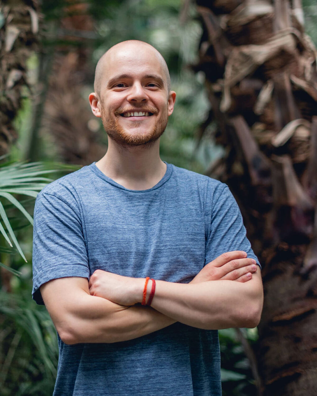 Ausbildung zum Meditationslehrer online