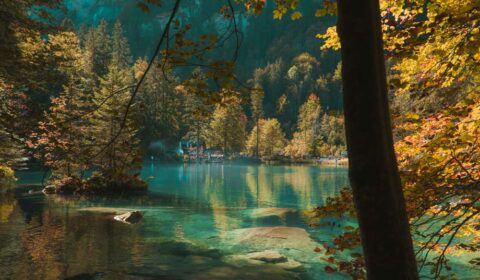 Schweiz See