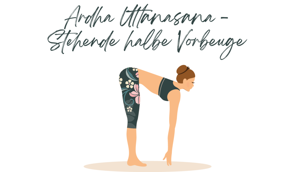 Yoga Übung stehende halbe Vorbeuge Ardha Uttanasana