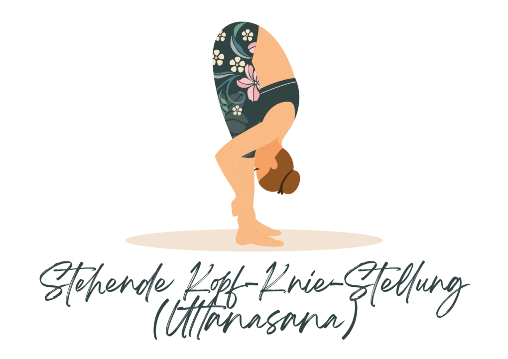 Stehende Kopf-Knie-Stellung (Uttanasana)